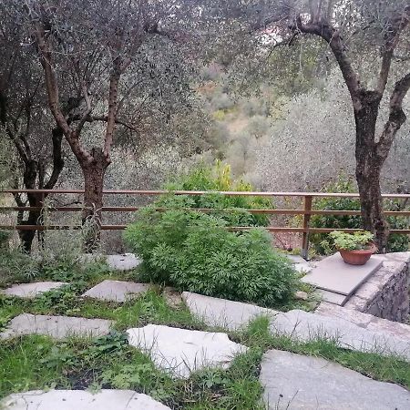 Nonna Paola Guest House Leivi Екстериор снимка